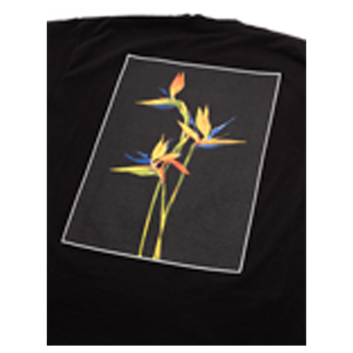 Birds of Paradise T-shirt - Black-The Marathon Clothing